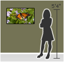 picture frame wall size