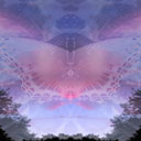 butterfly spirit mirror image