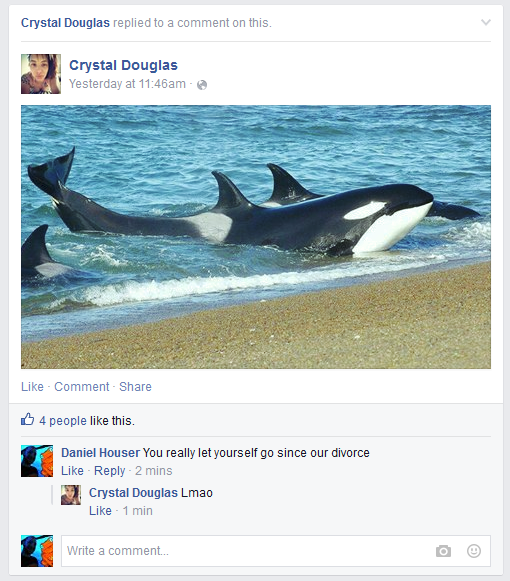 whale divorce ocean